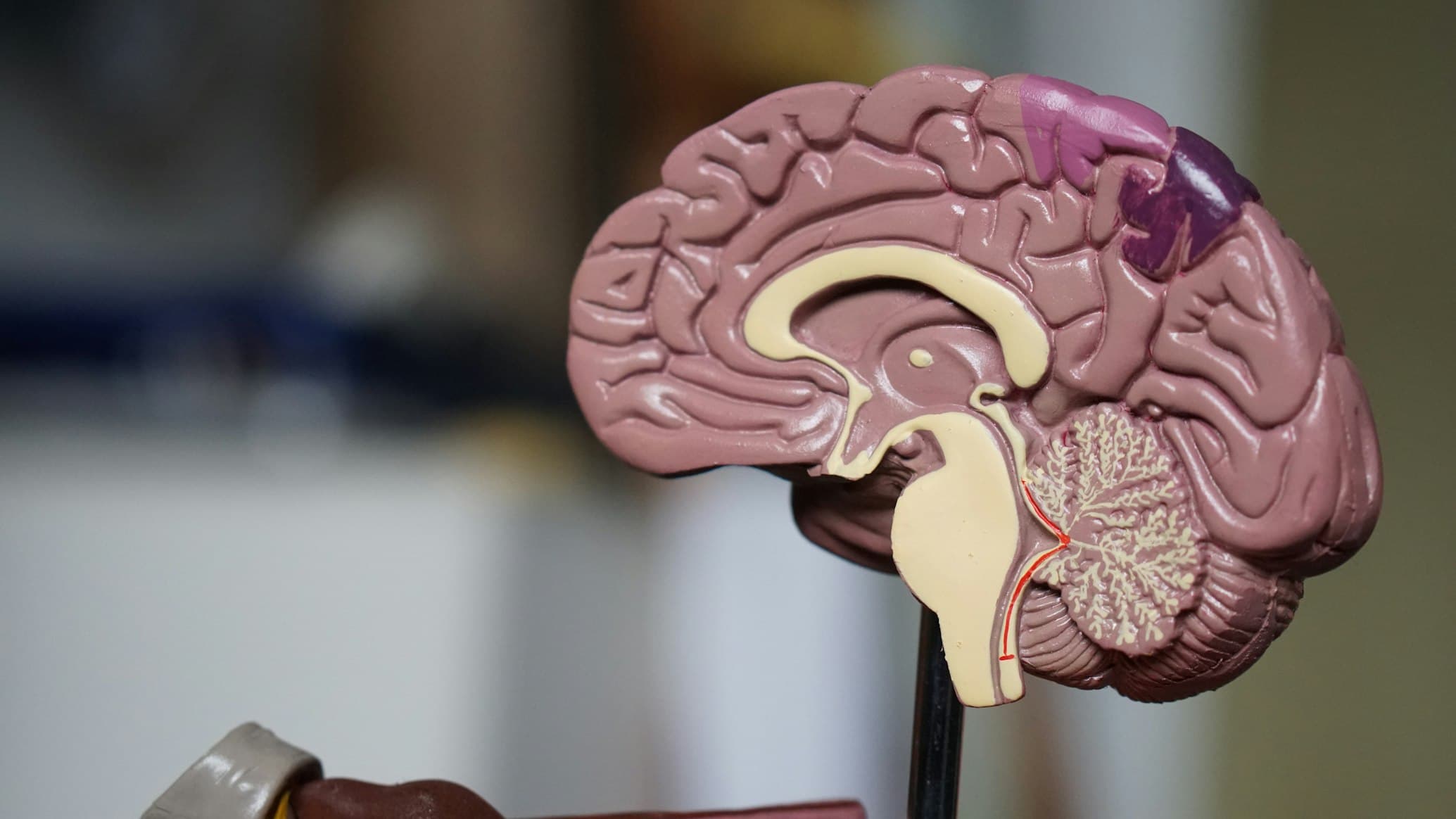 Optimización de Citas Médicas